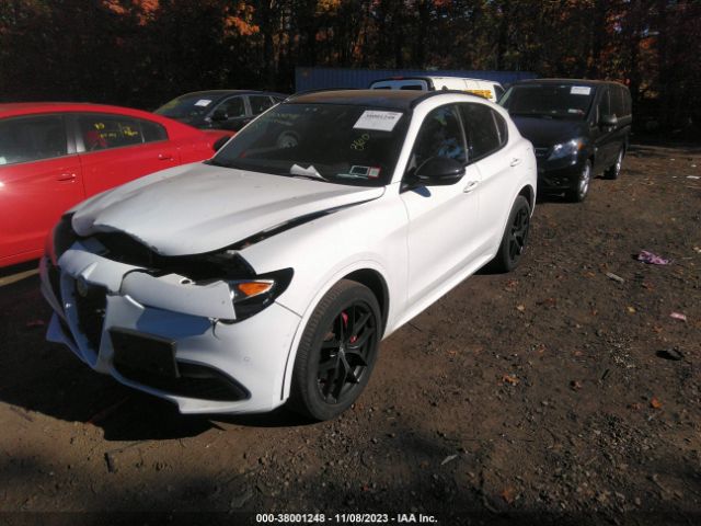 Photo 1 VIN: ZASPAKBN5M7D14828 - ALFA ROMEO STELVIO 