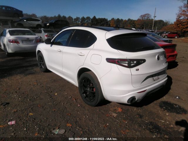 Photo 2 VIN: ZASPAKBN5M7D14828 - ALFA ROMEO STELVIO 