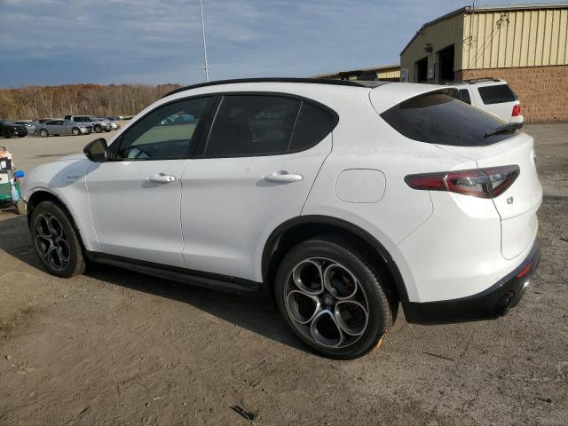 Photo 1 VIN: ZASPAKBN5R7D72610 - ALFA ROMEO STELVIO TI 