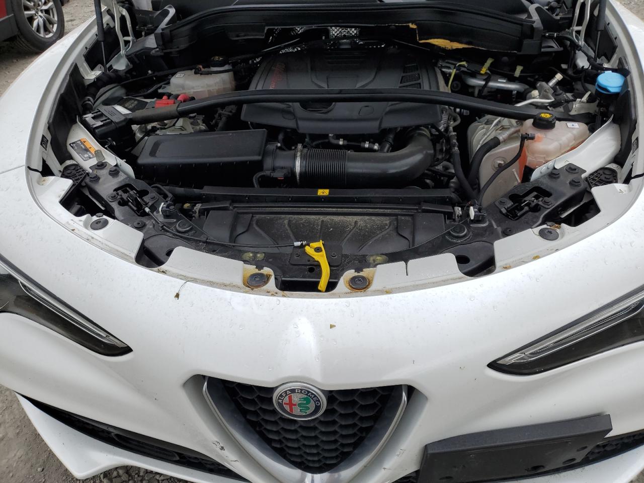 Photo 11 VIN: ZASPAKBN7K7C31267 - ALFA-ROMEO STELVIO 