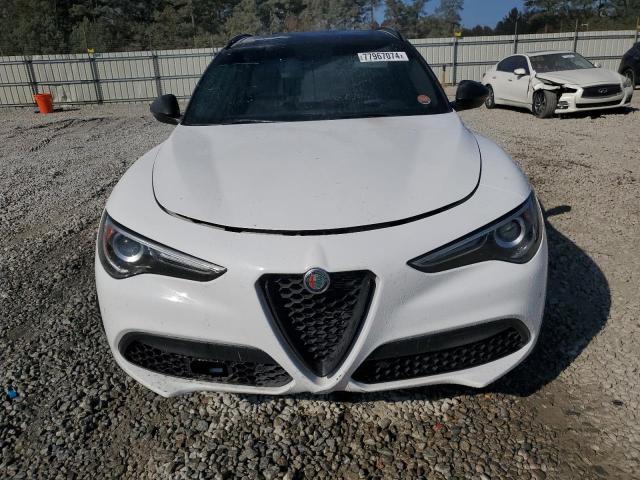 Photo 4 VIN: ZASPAKBN9K7C50404 - ALFA ROMEO STELVIO TI 