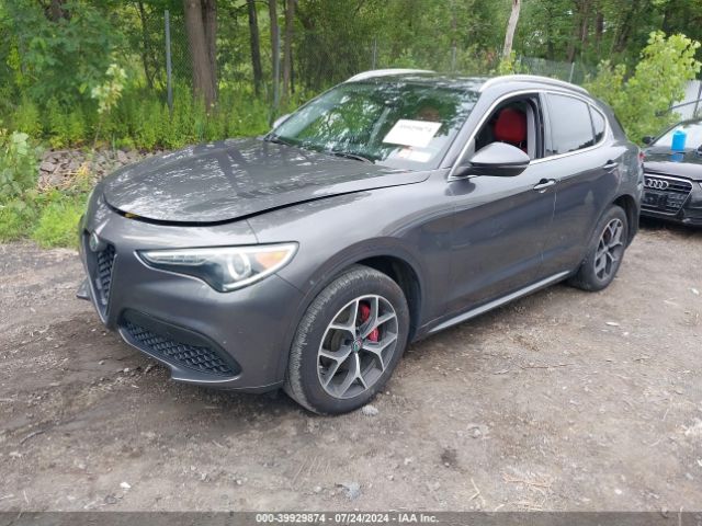 Photo 1 VIN: ZASPAKBN9L7C83596 - ALFA-ROMEO STELVIO 