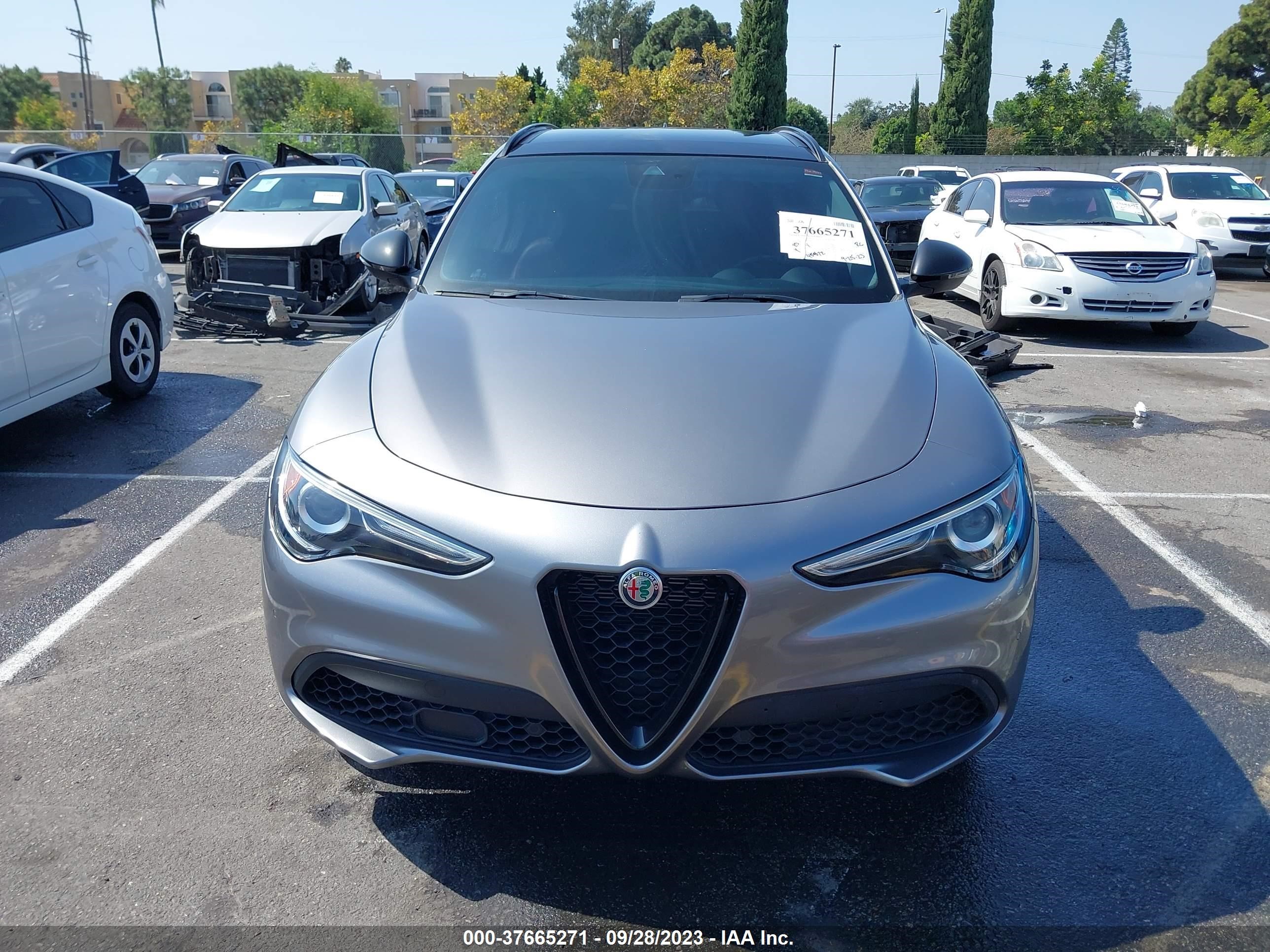 Photo 12 VIN: ZASPAKBN9M7C98892 - ALFA-ROMEO STELVIO 