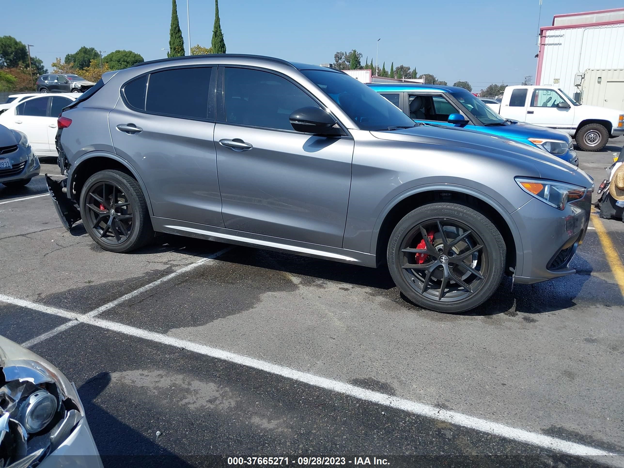 Photo 13 VIN: ZASPAKBN9M7C98892 - ALFA-ROMEO STELVIO 