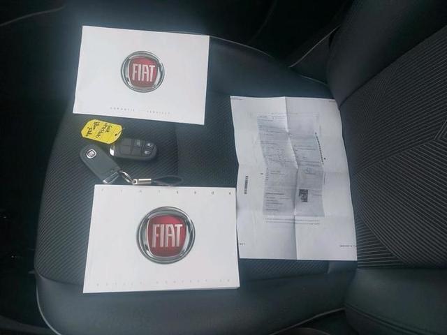 Photo 8 VIN: ZFA3340000P893030 - 39 FIAT 500X 