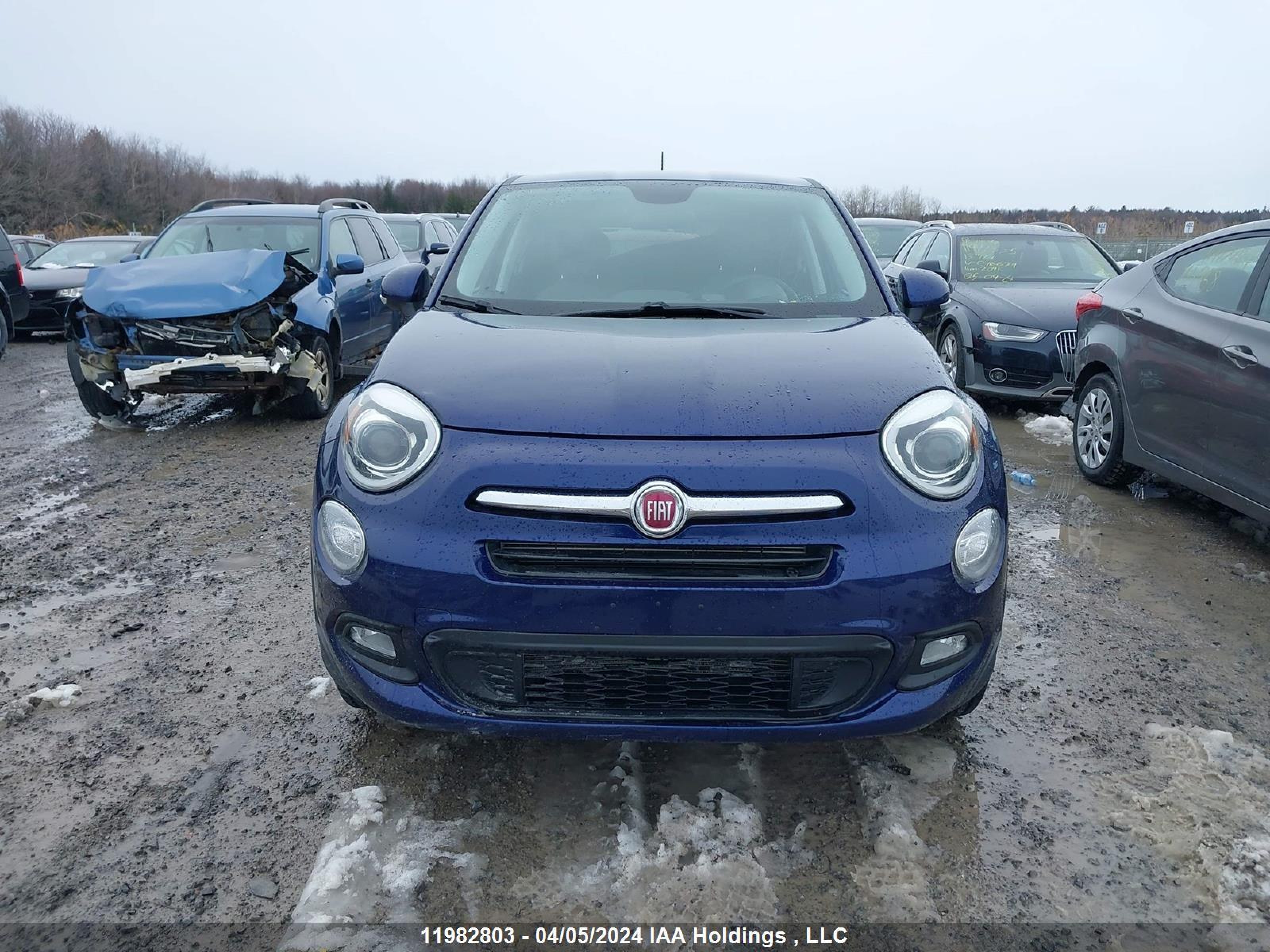 Photo 11 VIN: ZFBCFYBT1GP473184 - FIAT 500X 