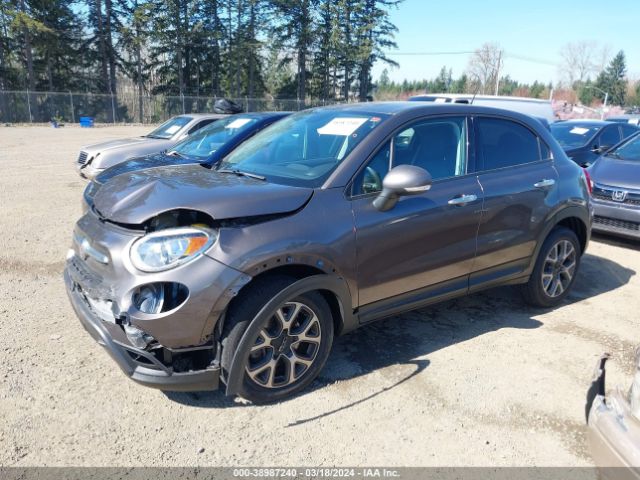 Photo 1 VIN: ZFBCFYCT5GP501387 - FIAT 500X 