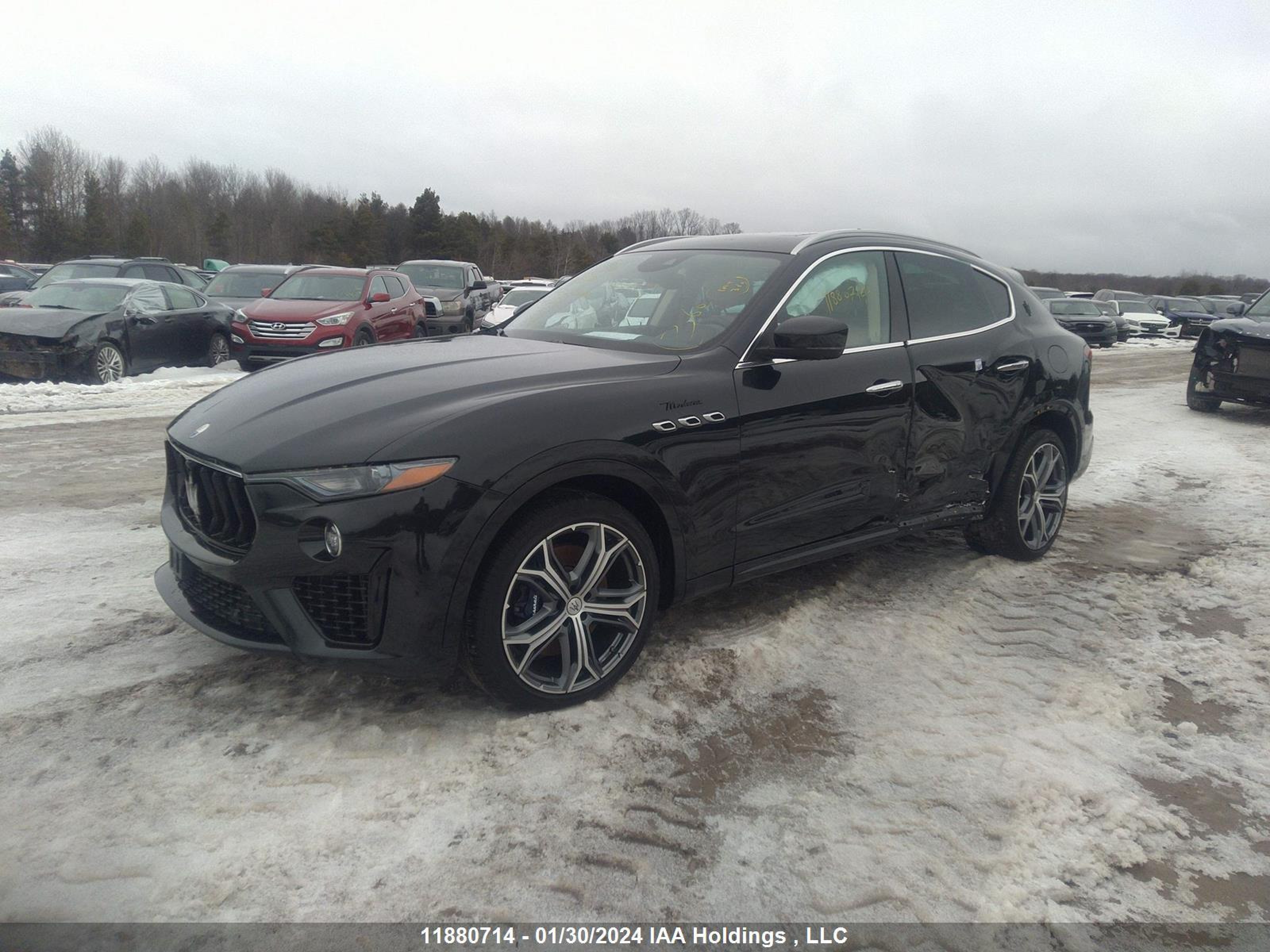 Photo 1 VIN: ZN661YUMXNX395272 - MASERATI LEVANTE 