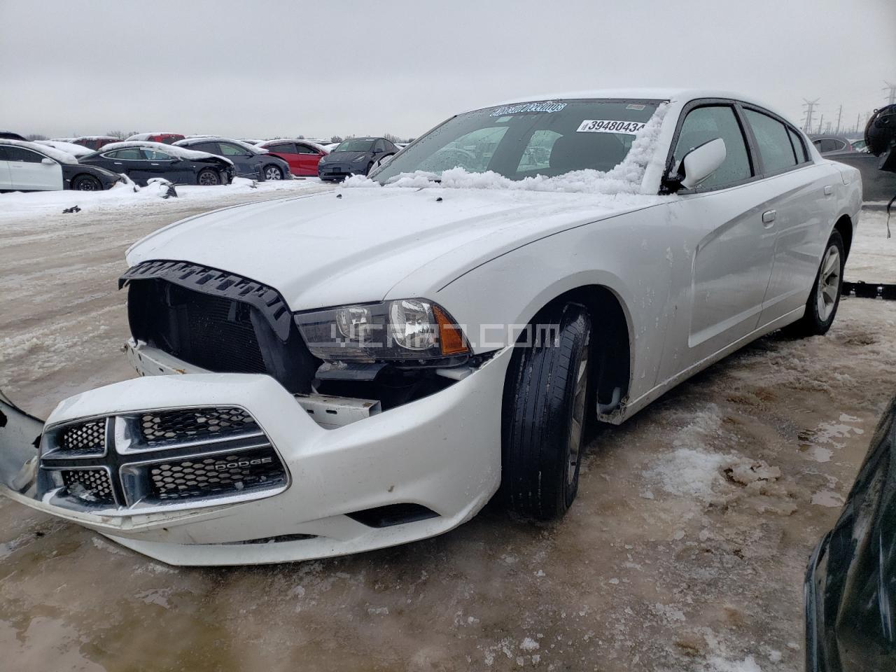 VIN: 2B3CL3CG7BH607950 - dodge charger