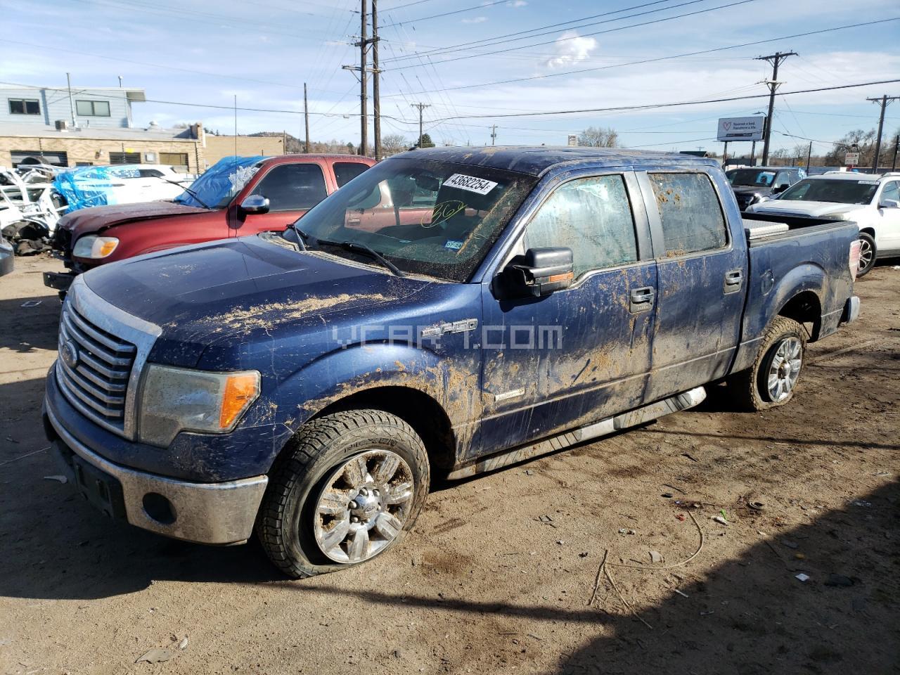 VIN: 1FTFW1CT5BFD27160 - ford f-150
