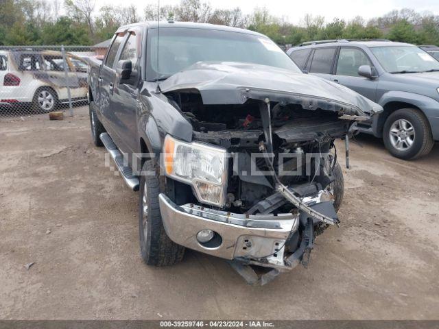 VIN: 1FTFW1EF7DFB11644 - ford f150