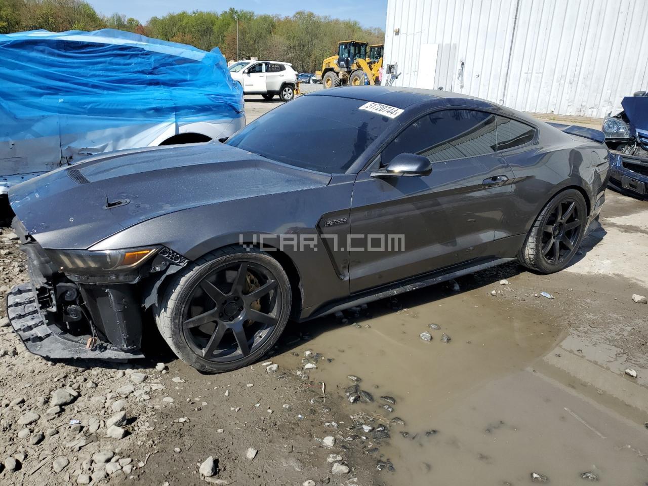 VIN: 1FA6P8CF5F5313308 - ford mustang