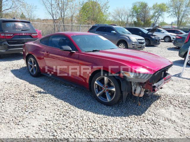 VIN: 1FA6P8AMXG5210808 - ford mustang