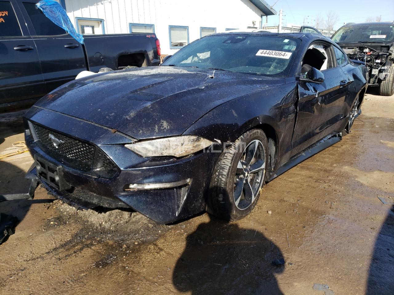 VIN: 1FA6P8CFXM5156209 - ford mustang