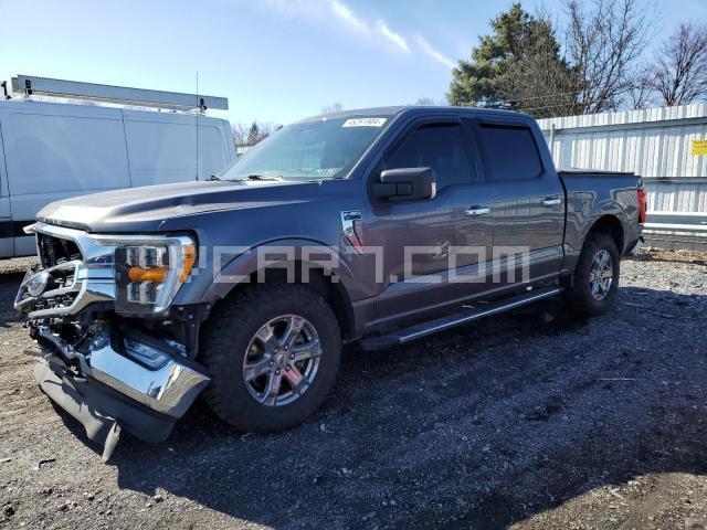 VIN: 1FTFW1E84MKD39612 - ford f-150