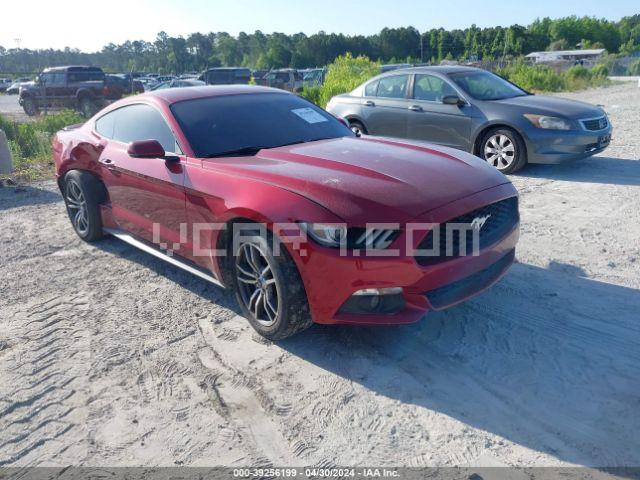VIN: 1FA6P8TH8F5323218 - ford mustang