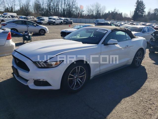 VIN: 1FATP8UH9G5328981 - ford mustang